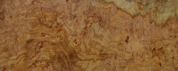 Natural Afzelia burl wood striped is a wooden beautiful pattern for background