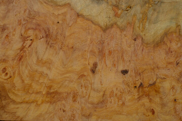 Natural Afzelia burl wood striped is a wooden beautiful pattern for background
