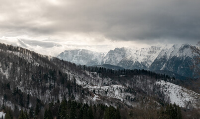 snow covered mountains