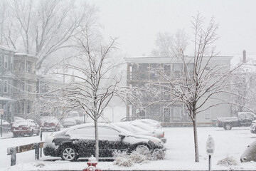 Fototapeta premium snow covered cars in the city