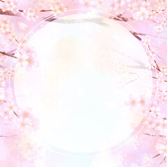 Fototapeta na wymiar 桜の並木道と青空の風景イラスト