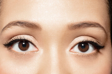 Close up of brown eyes of young woman looking at camera. Closeup of mixed race ethnicity female eyes with eyeliner . Make-up and antiaging skincare cosmetics advertising.