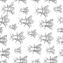 Bees seamless pattern. Vector illustration hand drawn style.