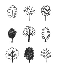 Hand drawn set of trees. Eco background. Abstract  doodle drawing woods. Vector art illustration plants