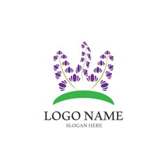 Fresh Lavender flower logo vector