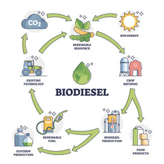 Biodiesel fuel life cycle explanation with all usage stages outline diagram. Labeled educational renewable ecological gas production using crop refining vector illustration. Green alternative energy. - obrazy, fototapety, plakaty