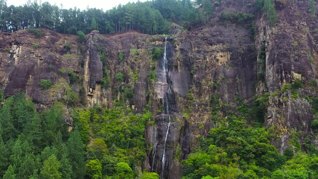 Jungle Waterfall in a tropical forest surrounded by green vegetation. Bambarakand Falls in mountain jungle. Sri Lanka.