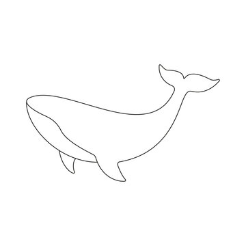 recommend clip art: Whale line drawing art. Sperm whale linear animal. Vector isolated on white. 