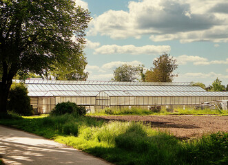 Fototapeta premium Beautiful view of a greenhouse in the countryside on a sunny day in summer