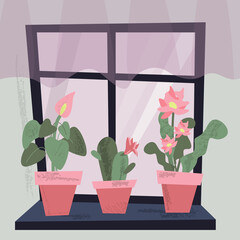 Window with cactus and another houseplants in pots on windowsill. Vector flat cartoon illustration. Cute cozy interior with houseplants and curtain