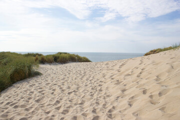 Fototapeta na wymiar the dunes, Haamstede, Zeeland in the Netherlands
