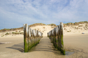 Wave breaker made of wooden stakes on the beach, Haamstede, Zeeland, Netherlands