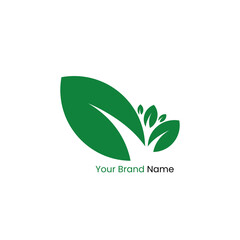green leaf teardrop shape logo concept vector design