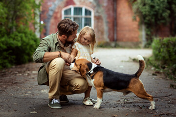 Caucasian father playing with small daughter and pet dog beagle in casual clothes  in front of...