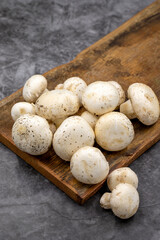 Organic mushrooms on a dark background. Cultivated mushroom or portabello mushroom