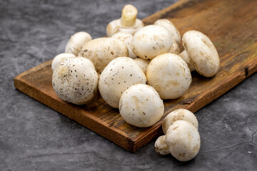 Organic mushrooms on a dark background. Cultivated mushroom or portabello mushroom