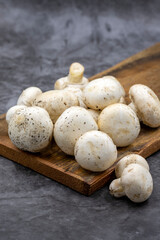 Organic mushrooms on a dark background. Cultivated mushroom or portabello mushroom