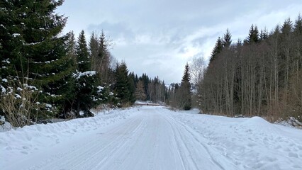 Fototapeta na wymiar country road in the winter 