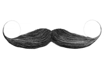 Curly black mustache isolated on white
