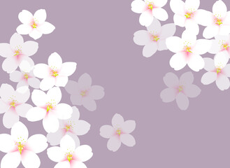 Naklejka na ściany i meble 和風な桜のイラスト