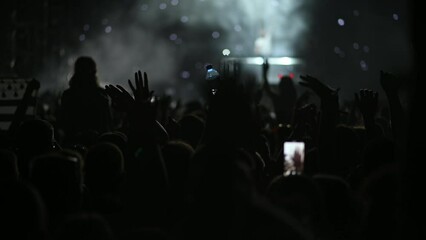 The crowd at the concert on a summer music festival
