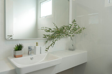 Fototapeta na wymiar Modern white bathroom with a toilet and sink with glass vase and green plant on counter.