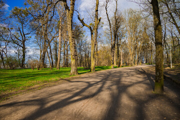early March month spring time park scenic environment space with dirt ground trail and bare branches trees