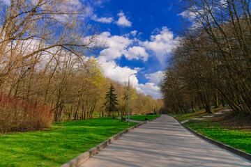 Fototapeta na wymiar spring park nature scenic view April nice clear weather morning time of fresh air and asphalt foot path alley way between trees with bare branches