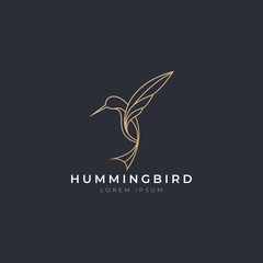 Hummingbird icon logo vector with modern luxury line gold color concept. Abstract humming bird with simple elegant style design vector.