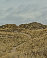 Sand dune in Denmark with green grass and a clouded sky. Moody and relaxing atmosphere.