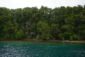 lake in the forest