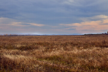 Fototapeta premium landscape sky