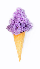 Lilac flowers in ice cream waffle cone isolated on white background. Funny idea for summer vacation concept.