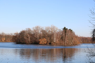 Insel im Unterbacher See