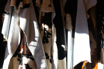 Cattle hides cow skin, hanging with natural light entering into the store