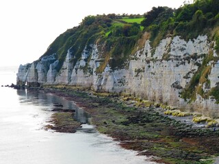 Obraz premium cliffs at Beer East Devon England along the Jurassic Coast