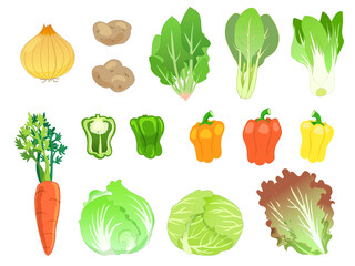 野菜のセット１