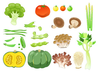 野菜のセット3