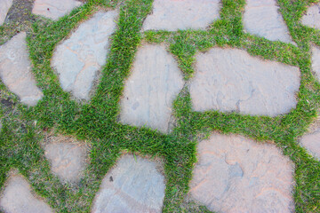Gray paving slabs, paved path, among greenery in a shady park. Shallow depth of field Paving slabs. Small bricks on the road. Dirty, wet sidewalk. Background. road markings, moss on the sidewalks