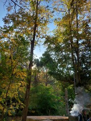 Fototapeta premium autumn in the park