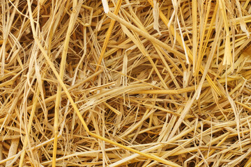 Dry straw texture for background and design art work, bales of cereal straw for cow and horse.