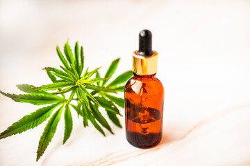 bottles CBD Oil in beauty salon. Fresh hemp leaves grown on plantation Marijuana for medical or cosmetic needs. Hemp oil and Green leaves of medicinal cannabis