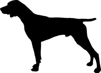 German Shorthaired Pointer Silhouettes German Shorthaired Pointer SVG EPS PNG