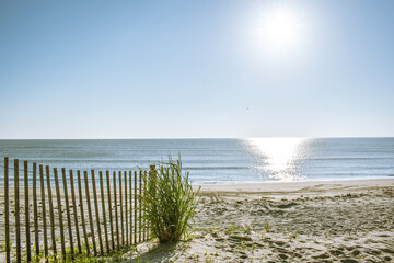 Beach backdrop with copy space showing a sand-covered path with wood fence and green grass plant while the rising sun shines over a calm morning ocean.