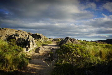 Llanura, Parque Nacional Copo