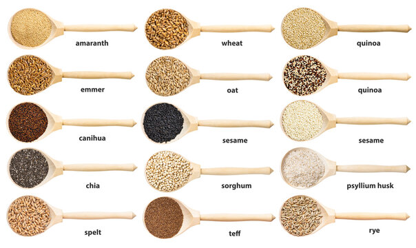 set of spoon with many seeds and grains with names