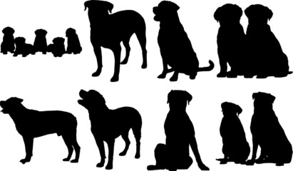 Rottweiler Dog Silhouettes Rottweiler Dog SVG EPS PNG