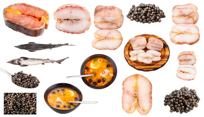 set of various foods from sturgeon fishes isolate