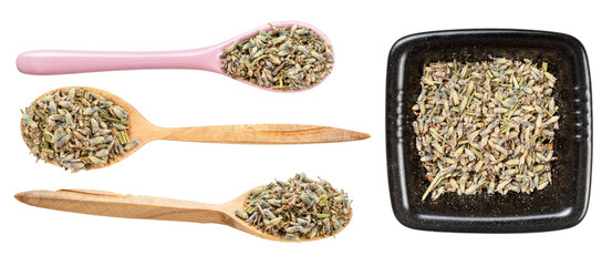 set of various dried lavender flowers isolated