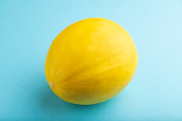 Ripe yellow melon on blue pastel background. Side view, close up.